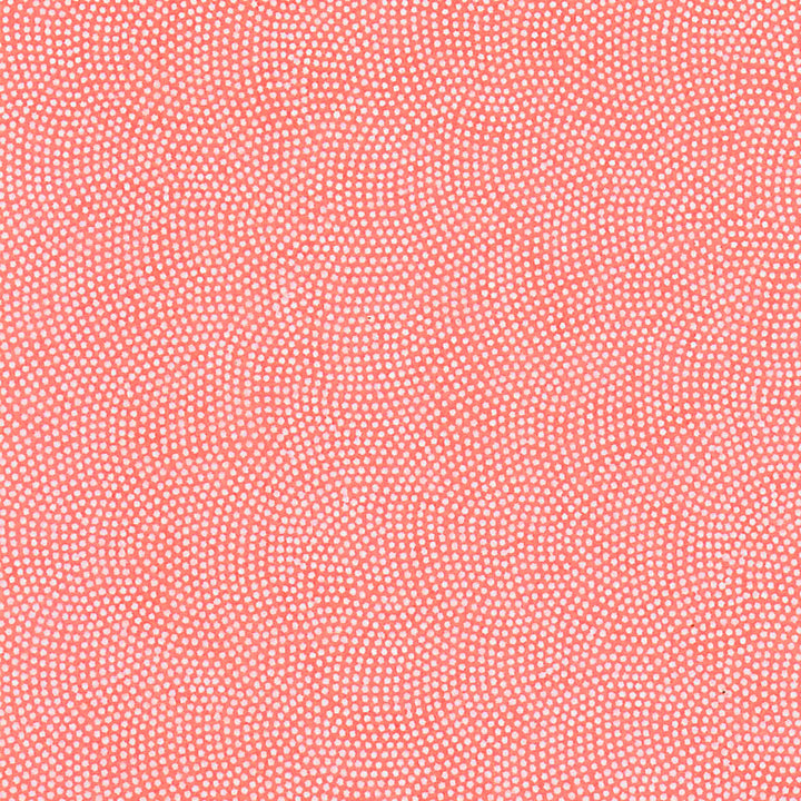 Papier Japonais - Samekomon - Rose et Blanc - M860