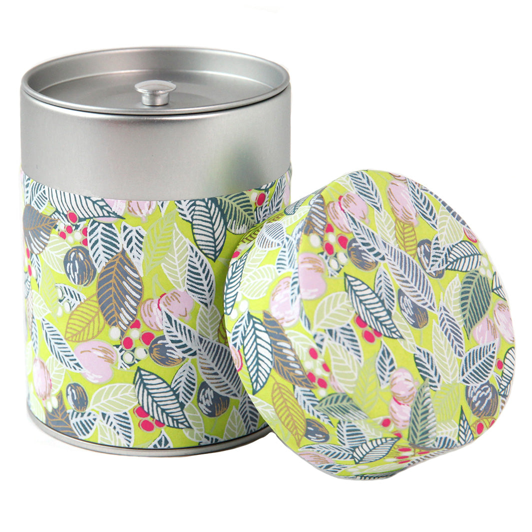 Papier Japonais - Feuilles, Baies et Fruits - Vert Acidulé, Gris Foncé et Rose Poudré - M897