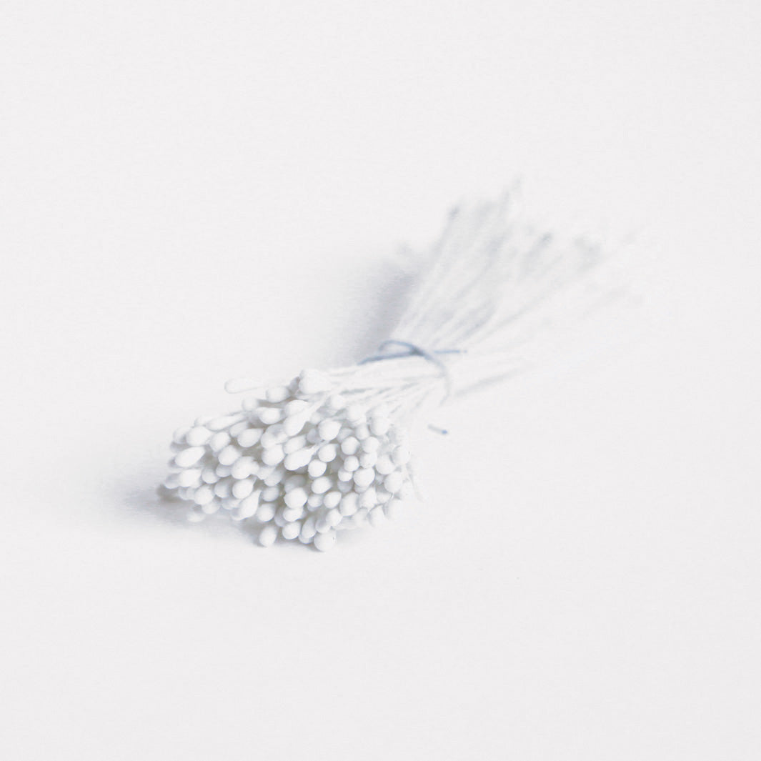 Fagot de pistils de fleurs - Blanc - 1030