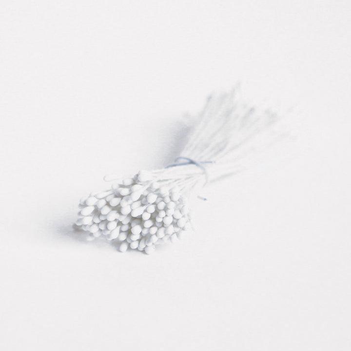 Fagot de pistils de fleurs - Blanc - 1030