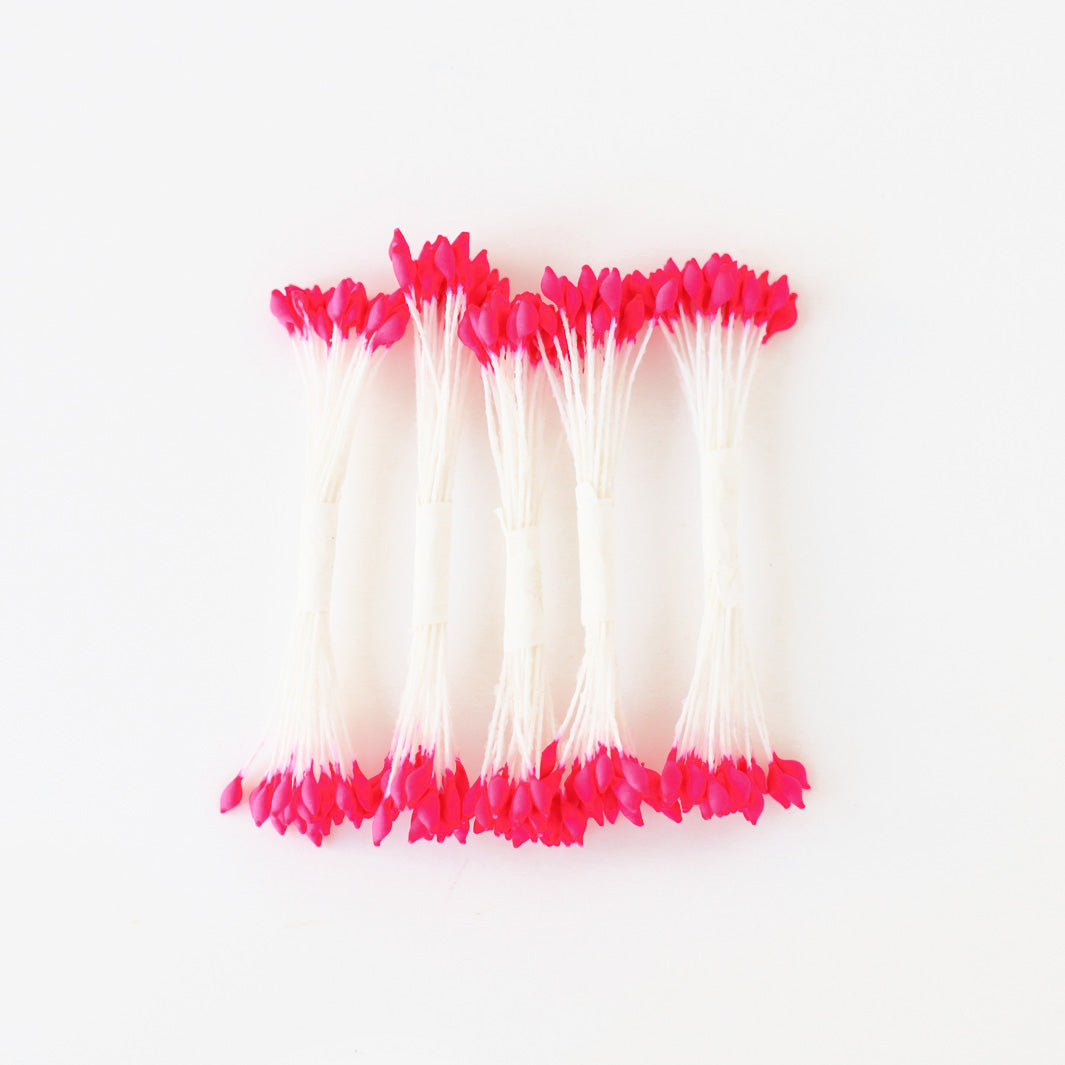 Lot de 5 fagots de pistils de fleurs - Blanc & Rose Vif - 602