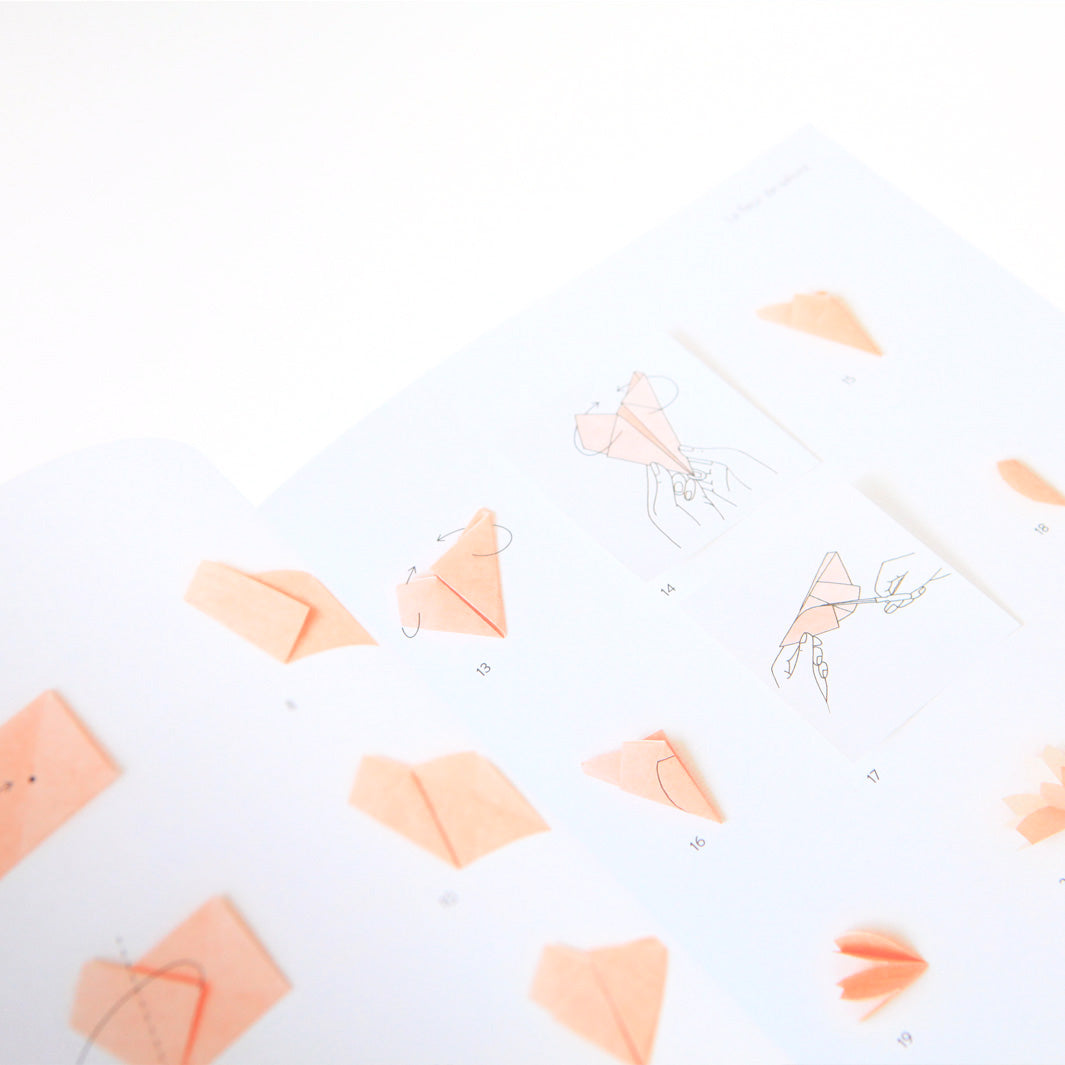Livre - L'Origami Comme Par Magie - Tome 1