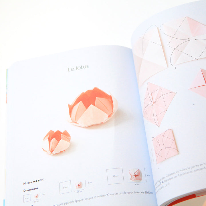 Livre - L'Origami Comme Par Magie - Tome 1