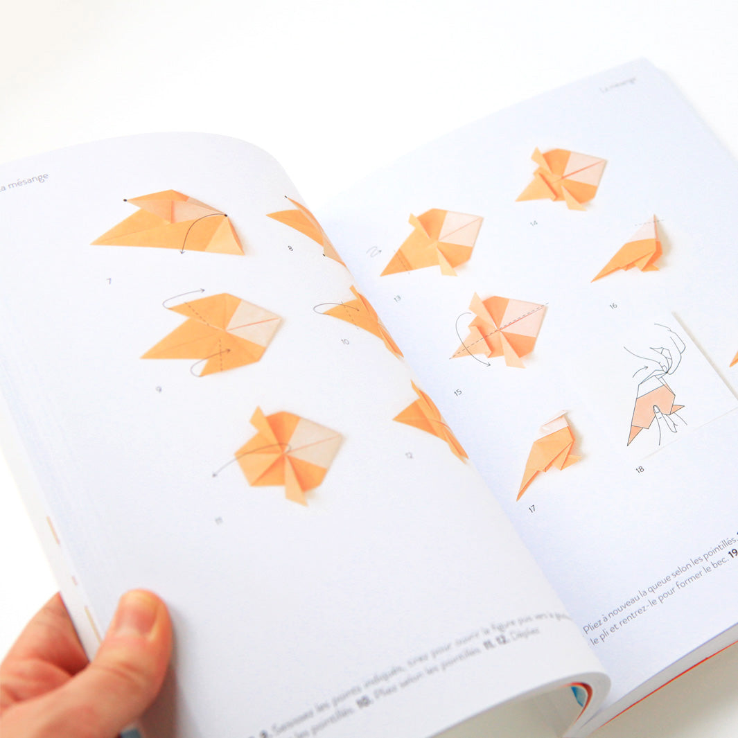 Livre - L'Origami Comme Par Magie - Tome 1