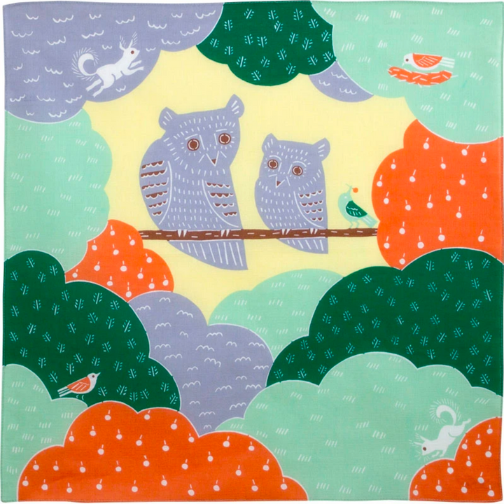 Furoshiki - Chouettes - Vert - Kata Kata - 50x50cm